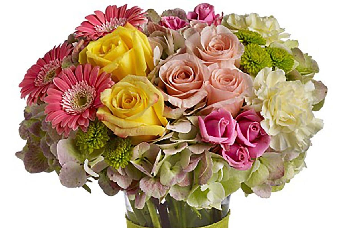 European - Fashionista Blooms - Most Popular
