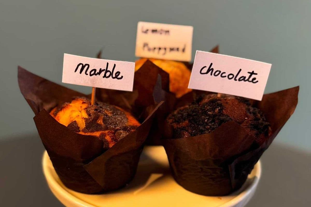 Assorted Muffin