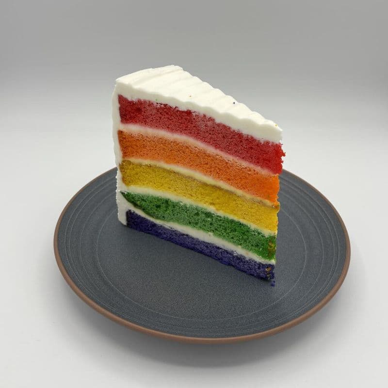 Gâteau arc-en-ciel / Rainbow Cake slice
