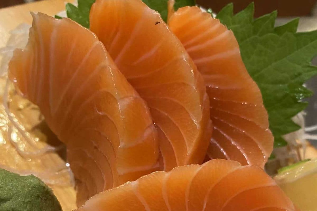 Salmon Sashimi