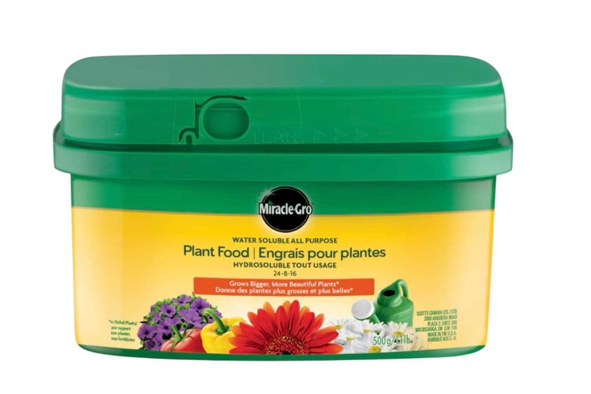 Miracle-Gro Water Soluble All Purpose Plant Food - 500g