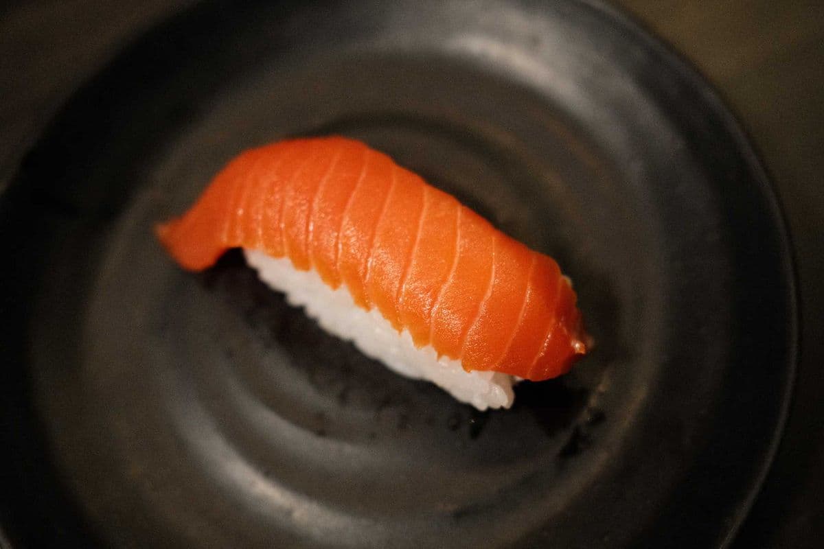 Sockeye Salmon