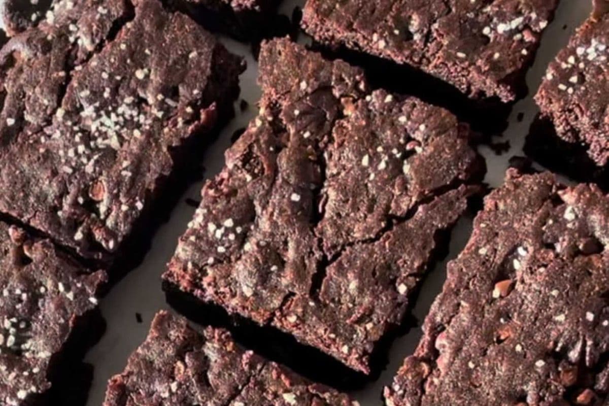 fudgy brownie square - 2 pack