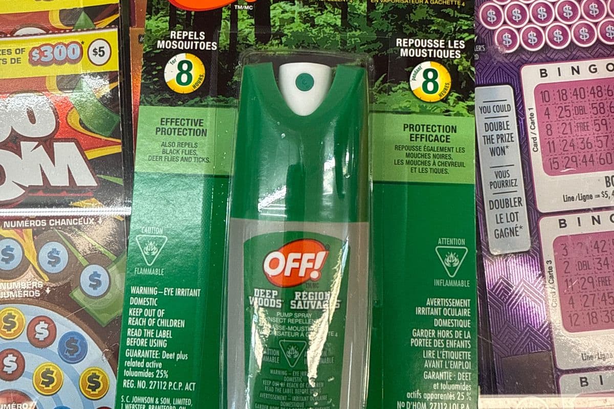 OFF DEEP WOODS
