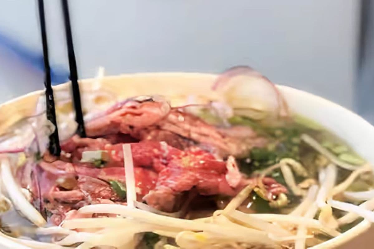 Pho Large Soup and Spring Roll (1 pc)