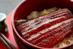 D18. Unagi Don