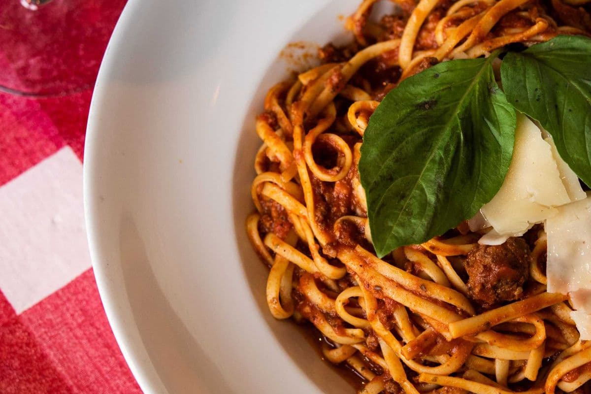 Bolognese