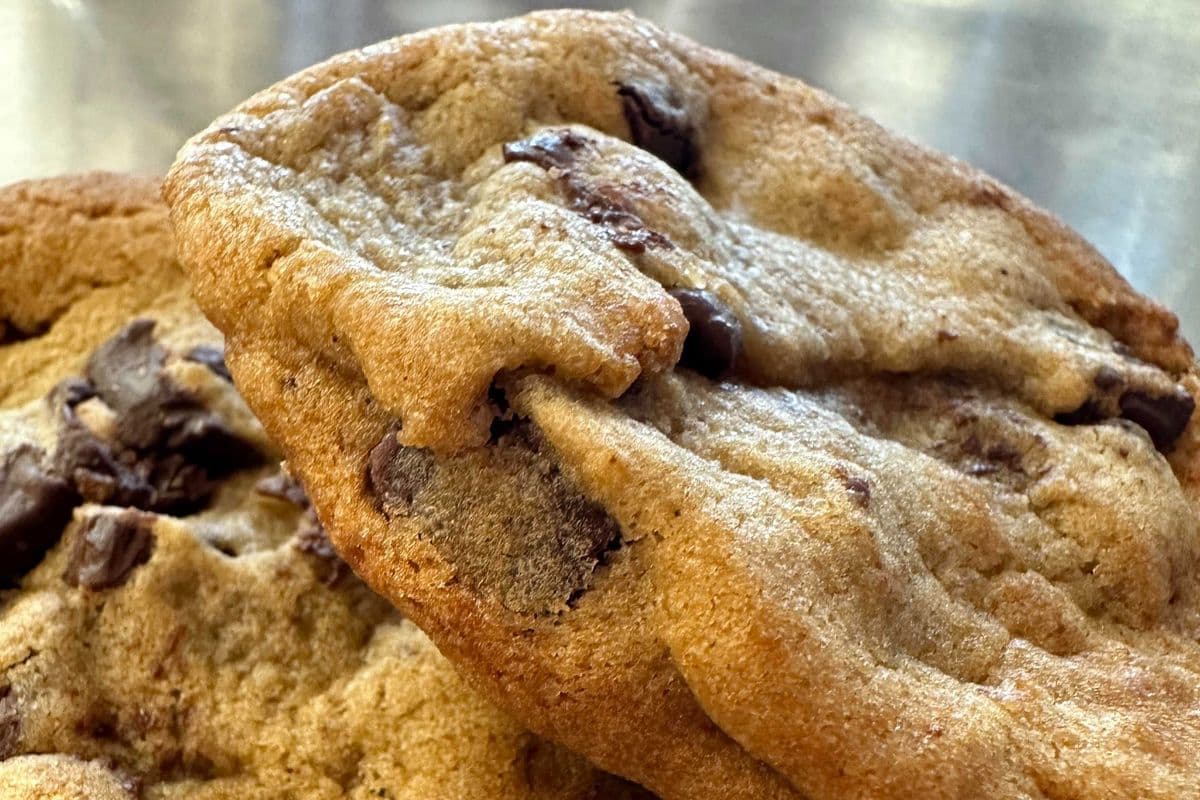 Chocolate Chip Cookie