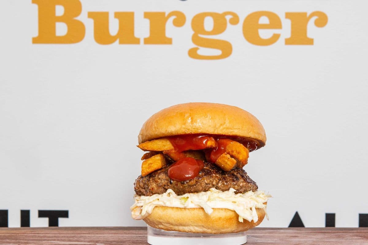 Fry'n Slaw Burger
