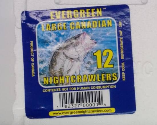 Fishing Warms (12 pcs)
