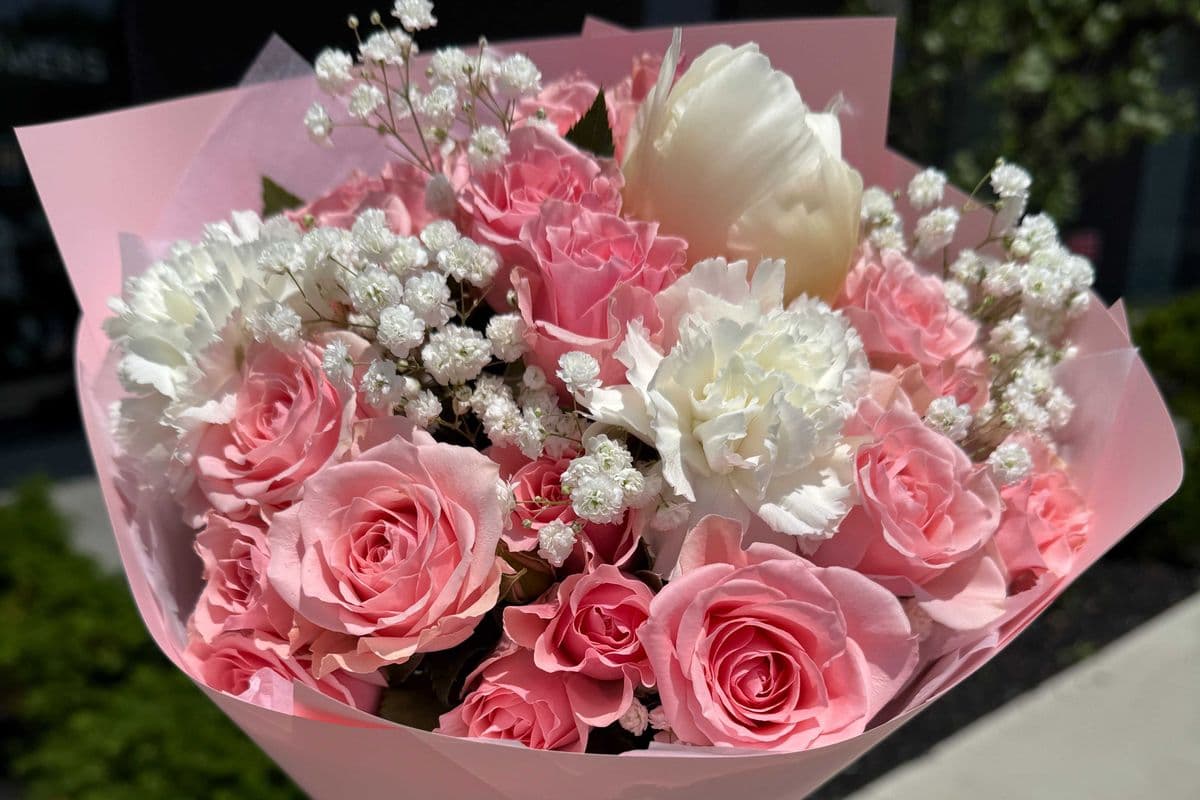 Pink Cloud Mini