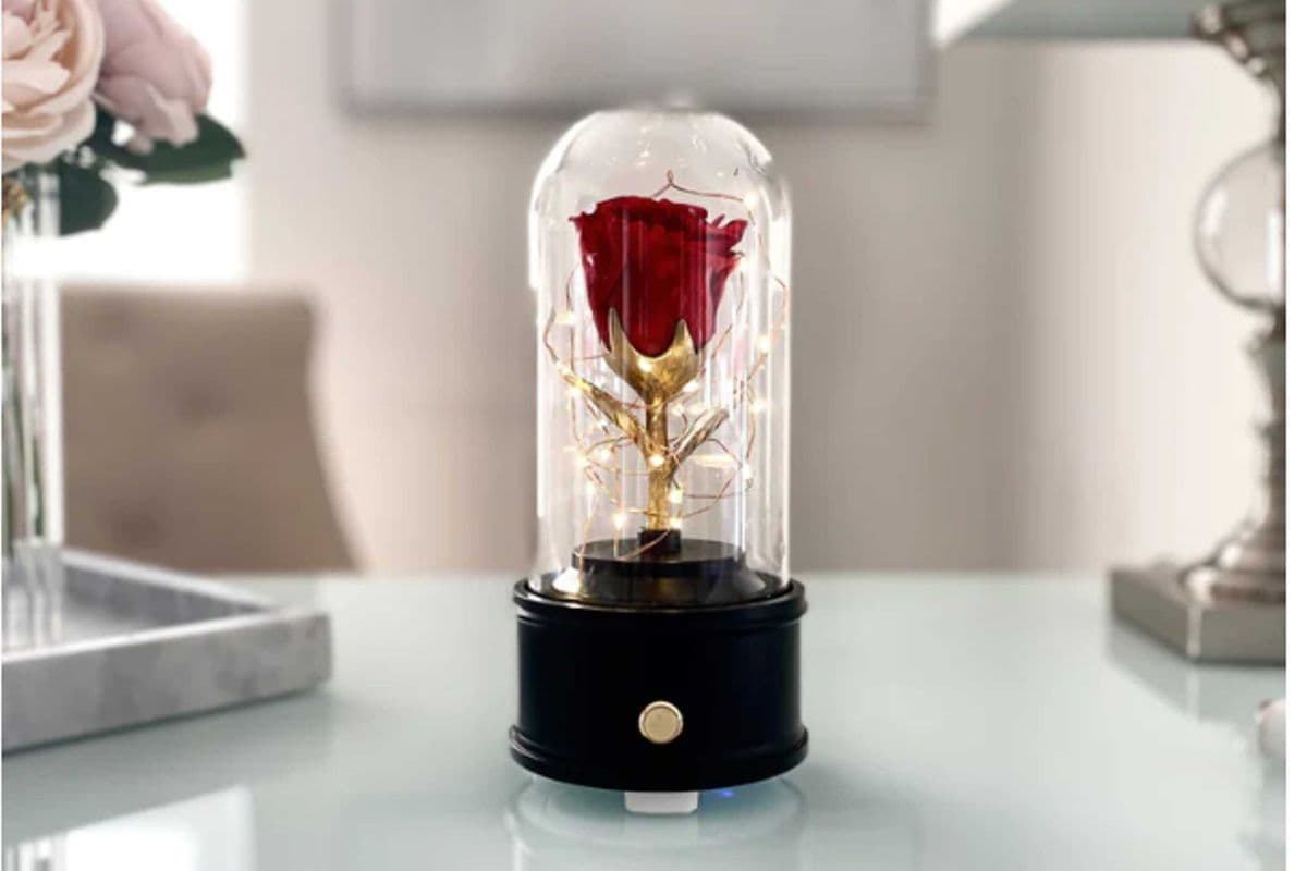 Bluetooth Music Rose Box