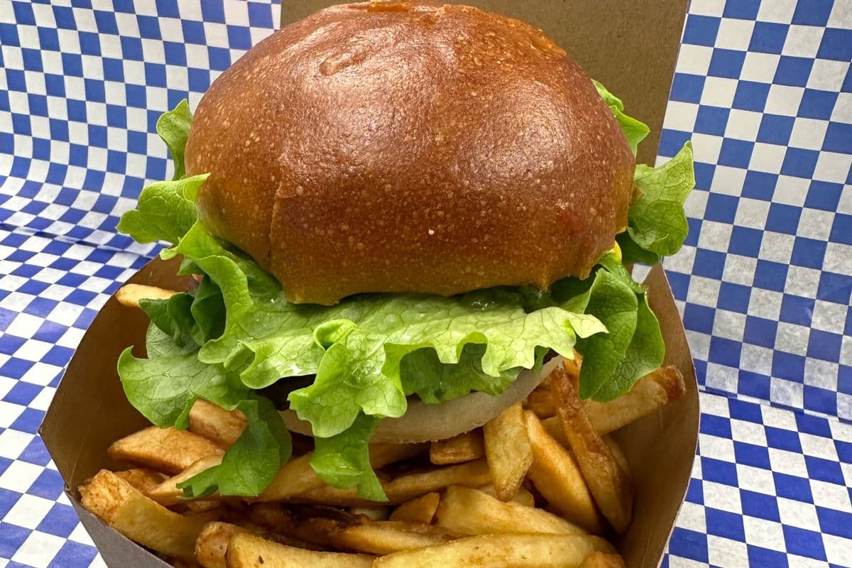 Hamburger and Fries