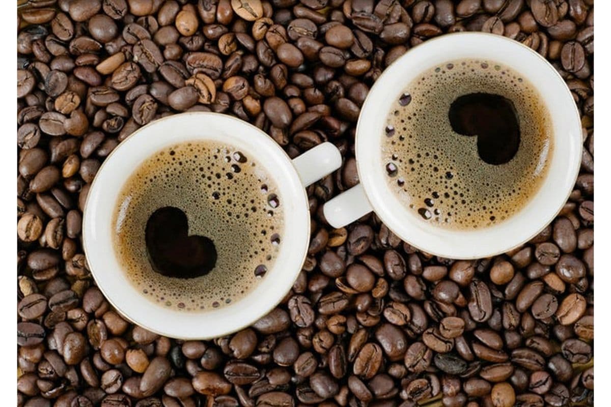 Large Rocky Mountain Roasters Coffee