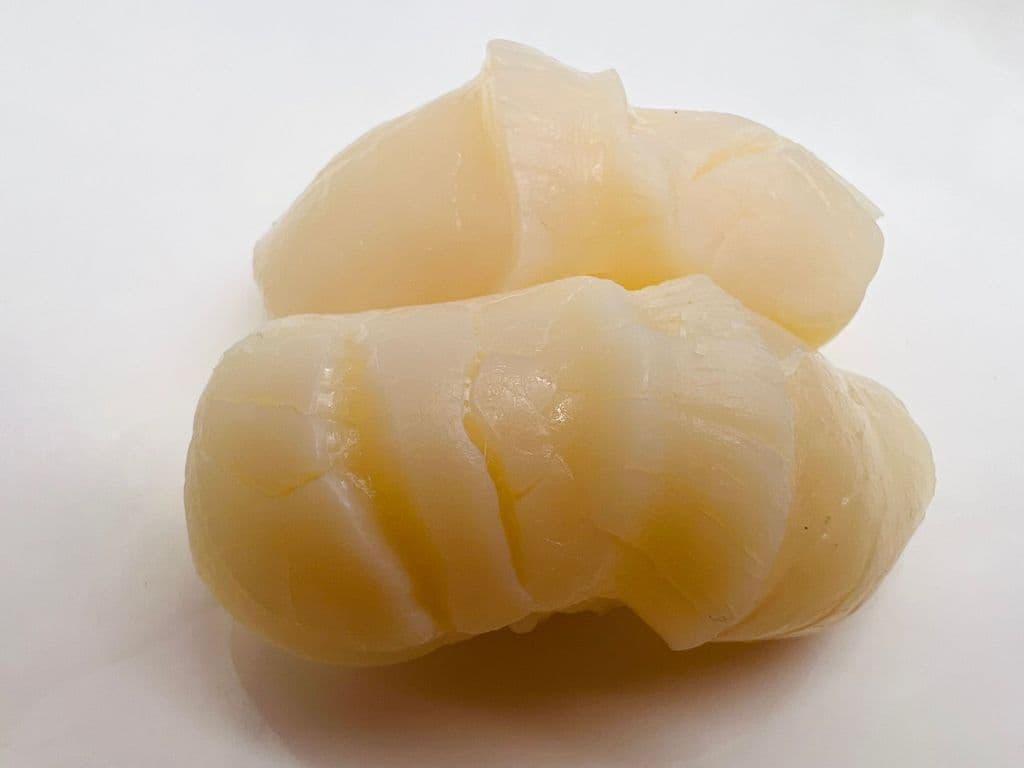 10N HOTATEGAI Petoncle /Scallop Nigiris (2mcx/2pcs Avec Riz / With Rice)