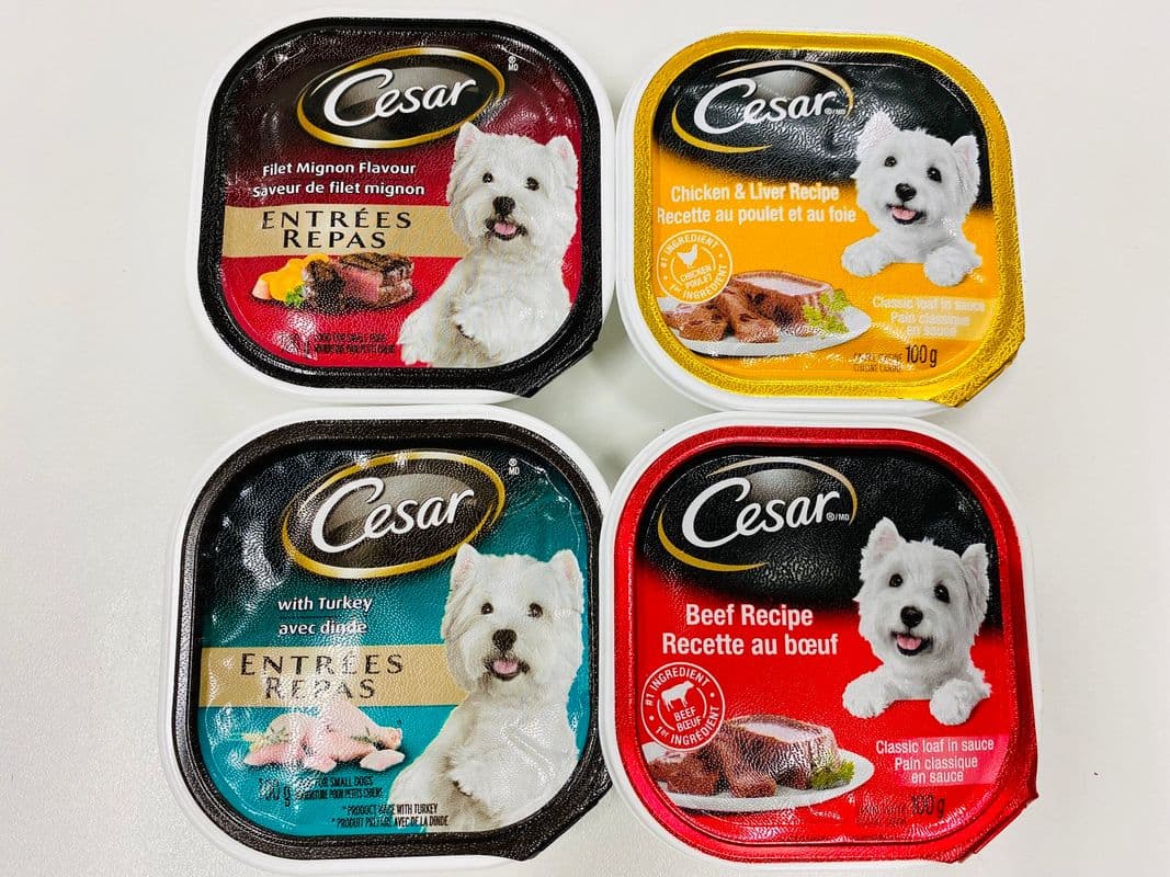 Cesar Dog Food (100 gm)