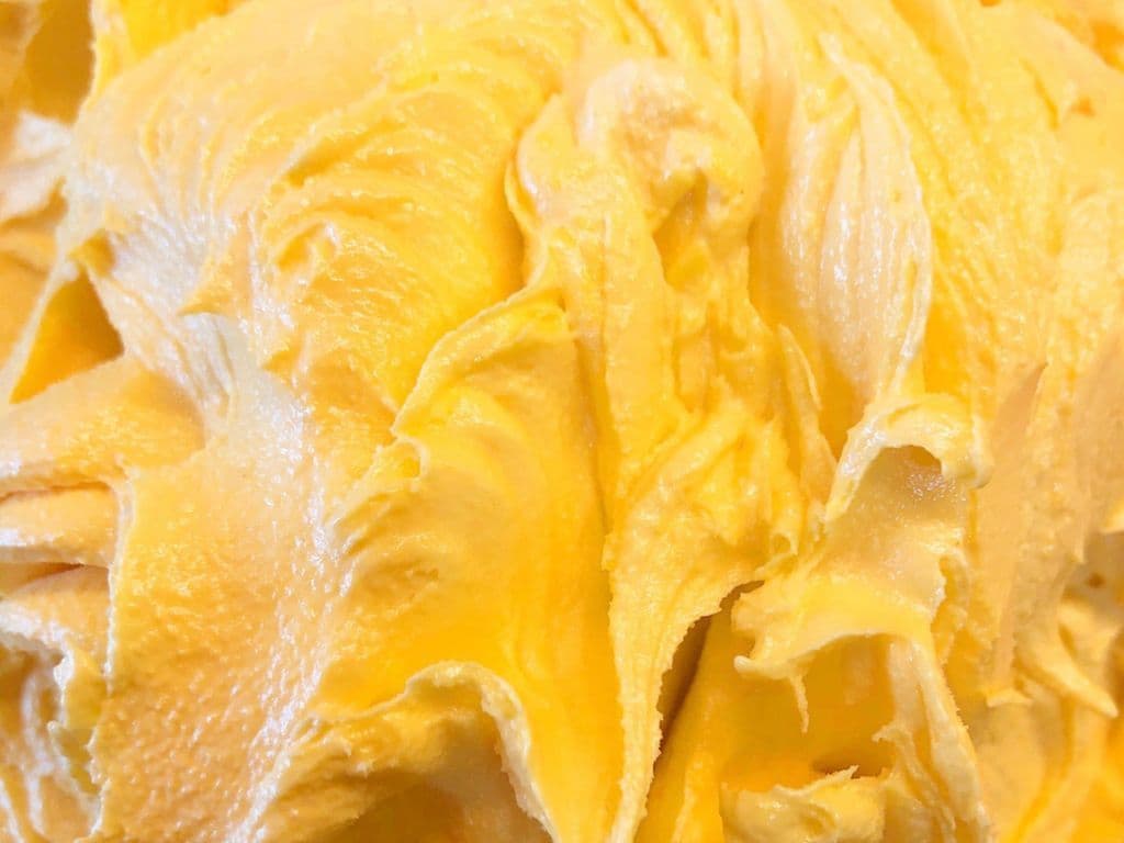 Mangue/Mango Sorbet 