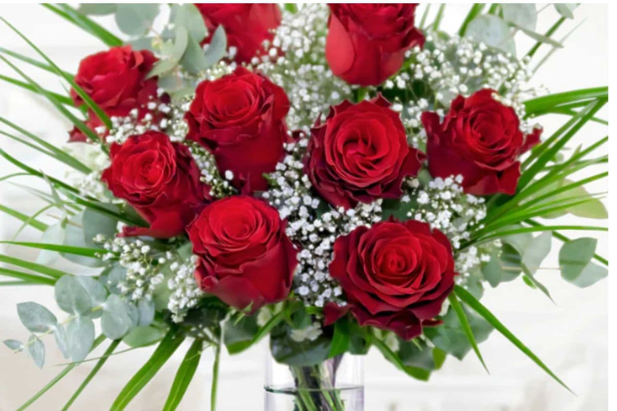 Classic Love - 12 Long Stem Roses