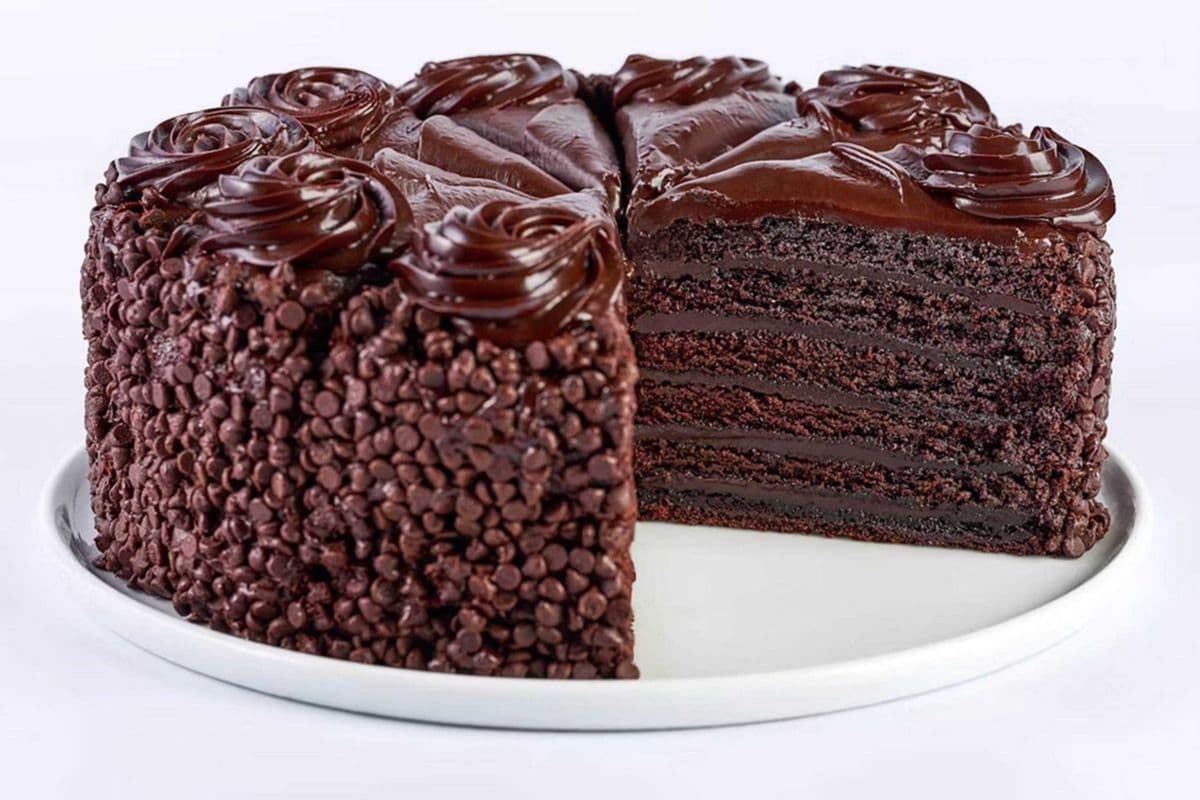 The Cheesecake Factory Chocolate Fudge Cake