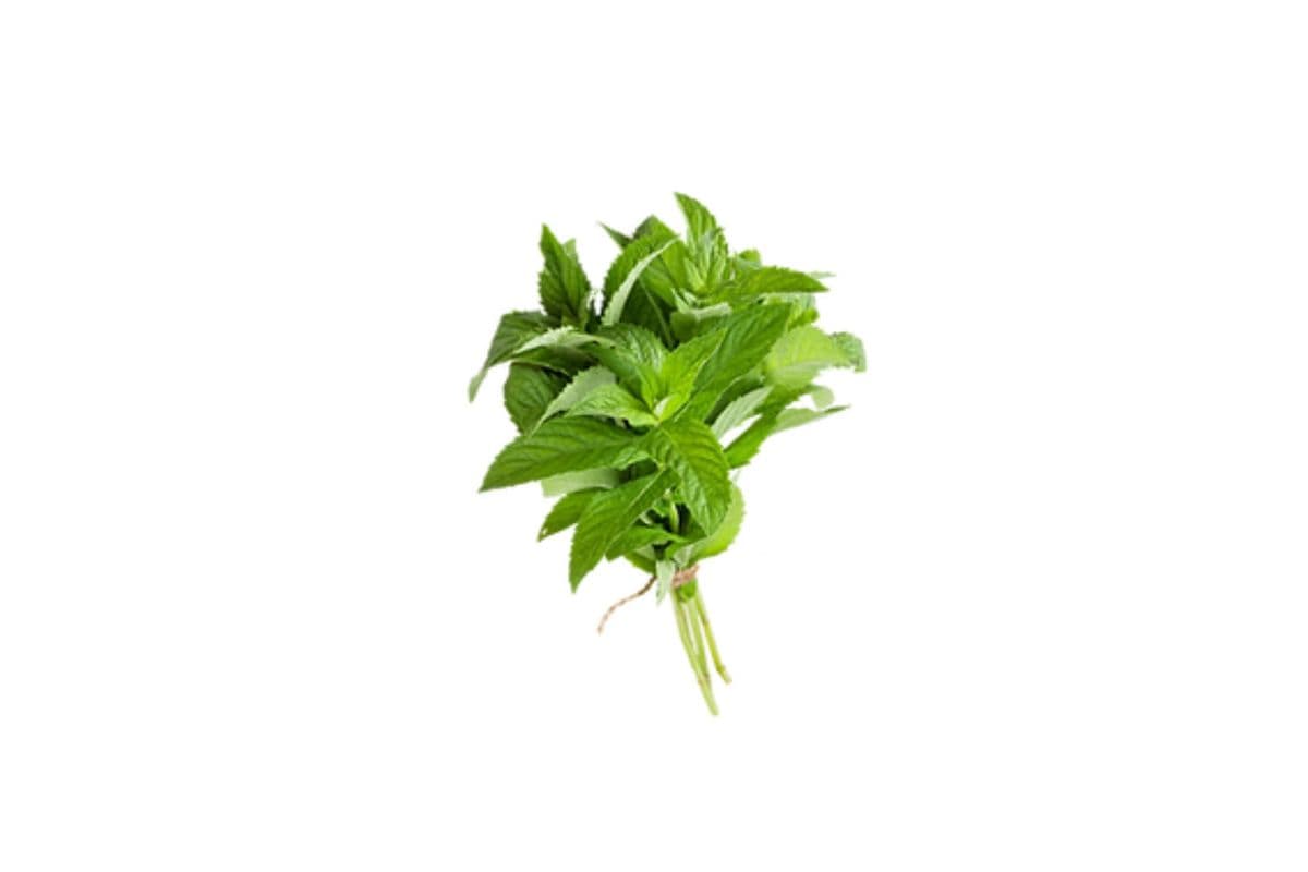 Mint