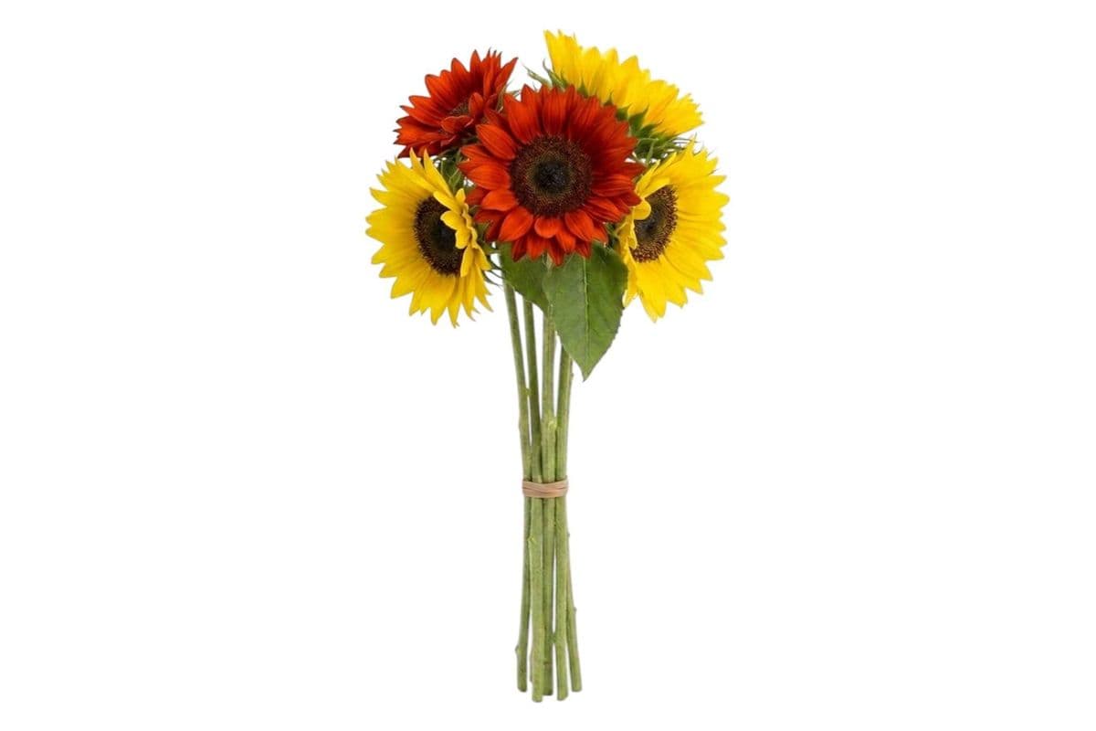 Mix Sunflower - 5 Stems