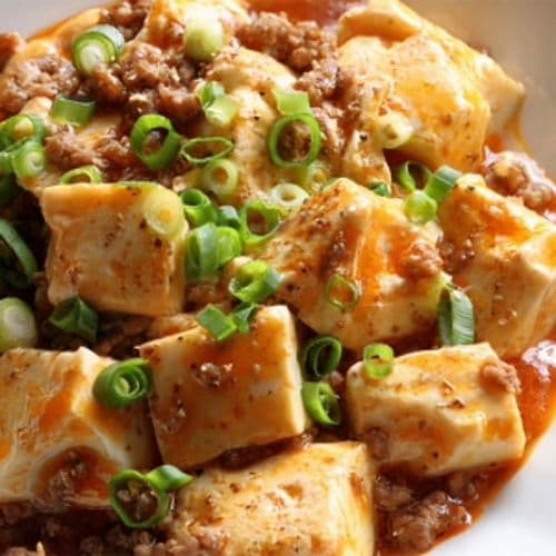Tofu in Meaty Black Bean Sauce / 麻婆豆腐