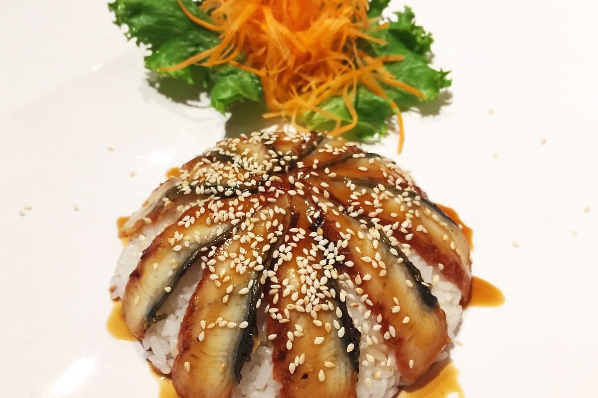 G3. Unagi Don