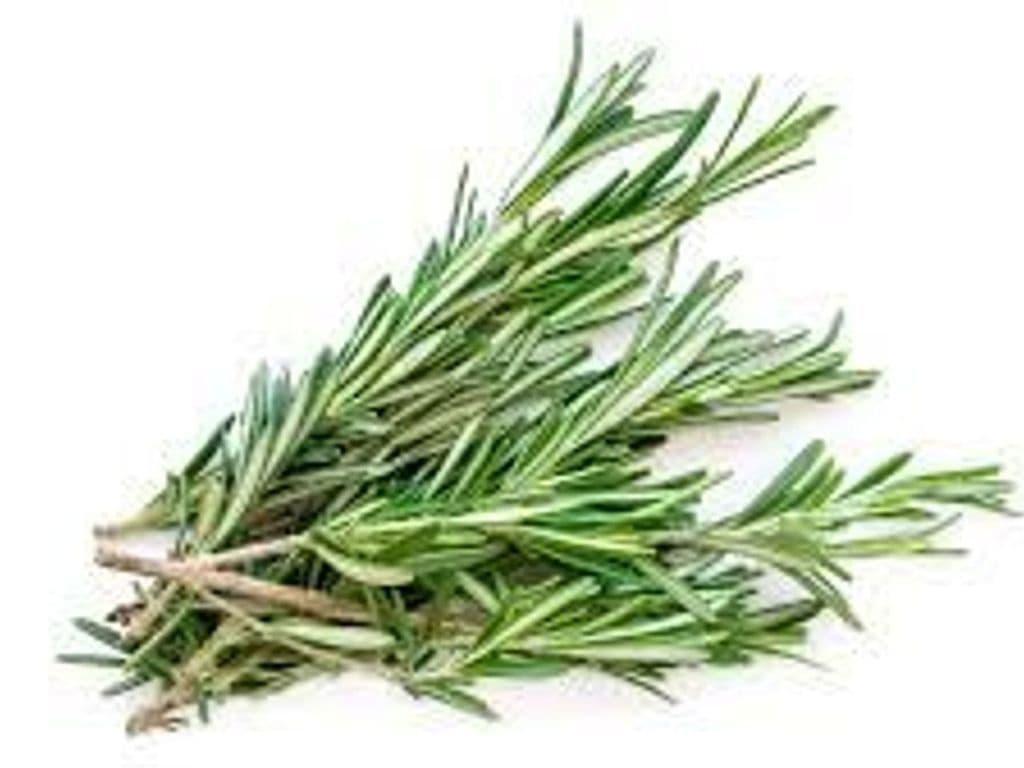 FRESH ROSEMARY 1 OZ