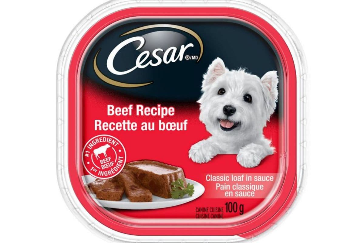 Cesar - Recette au Boeuf / Beef Recipe (100 g)