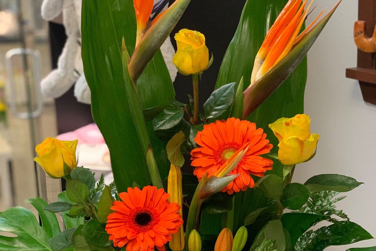 Sunrise Arrangement
