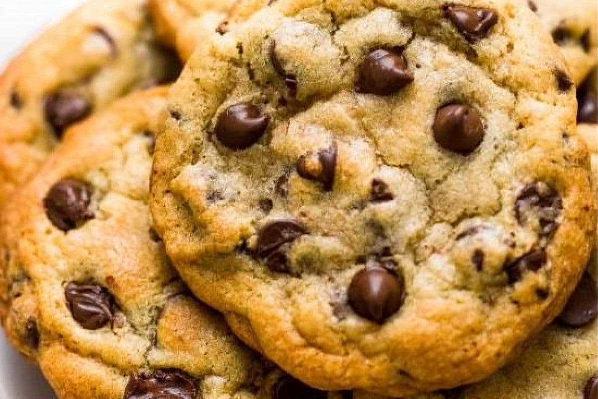 Chocolate Chip Cookie
