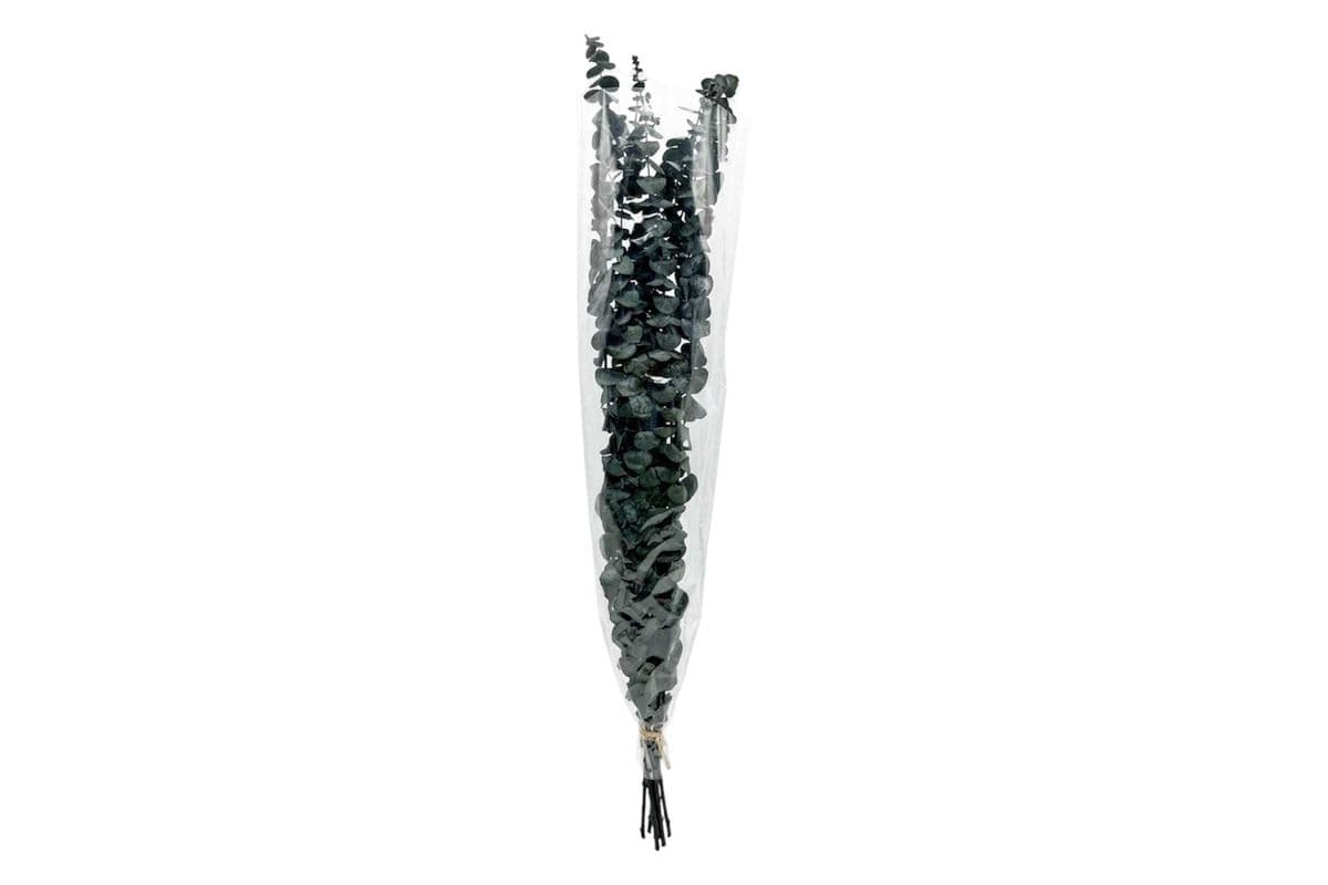 Dried Eucalyptus - Small