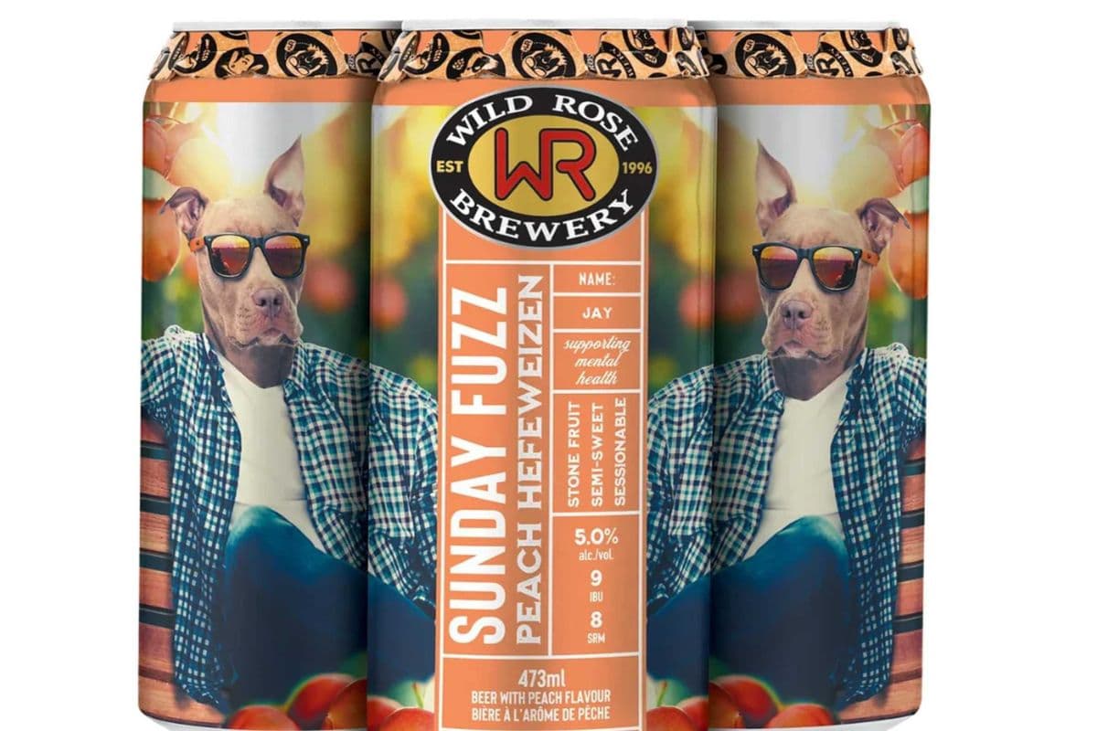 WILD ROSE SUNDAY FUZZ 4*473ML (1 x 473ML)