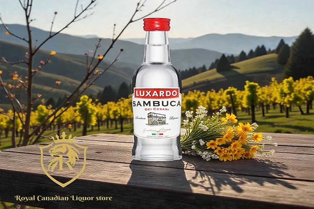 SAMBUCA (1 x 50ML)