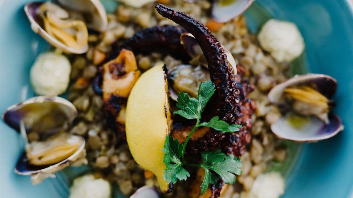 Grilled Octopus