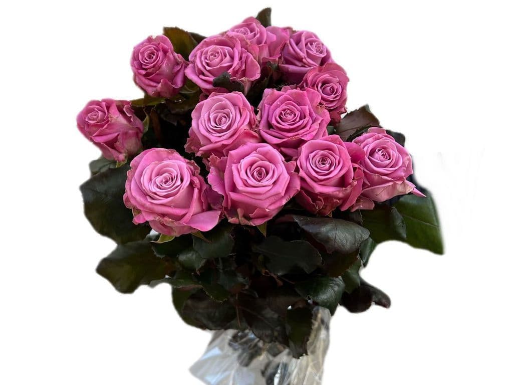 Flowers - Rose Purple (12 stems)