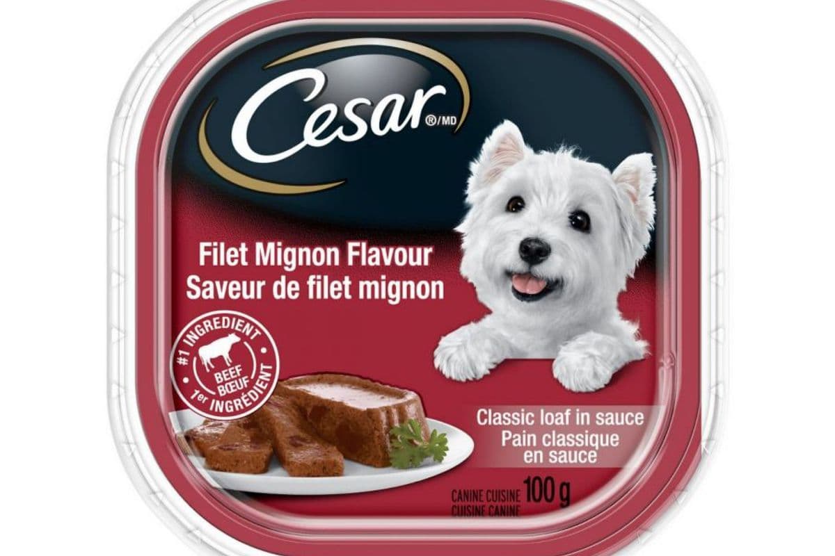Cesar - Saveur de Filet Mignon / Filet Mignon Flavour (100 g)