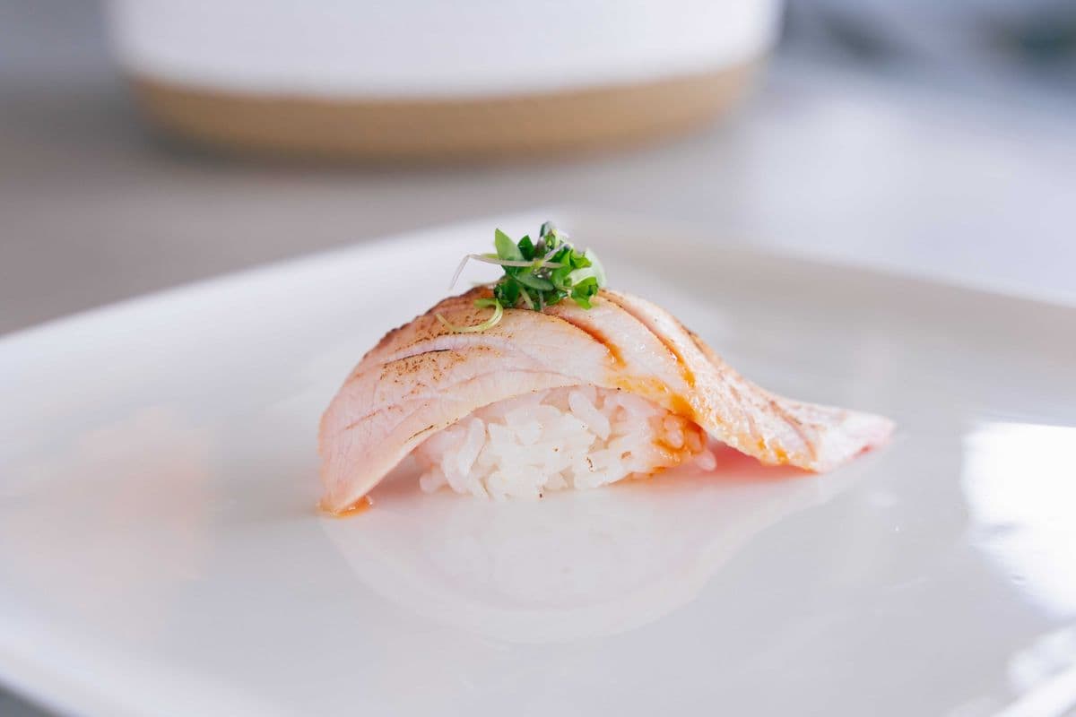 Hamachi Aburi (1 Piece Nigiri)