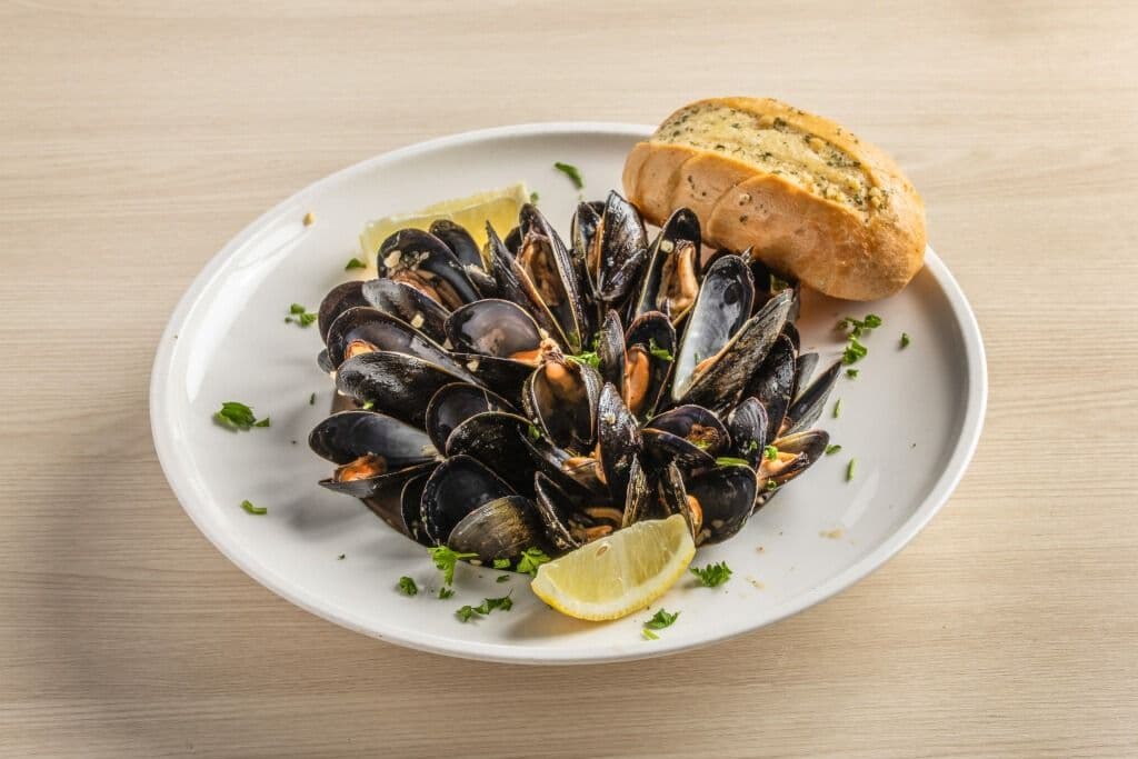 MUSSELS
