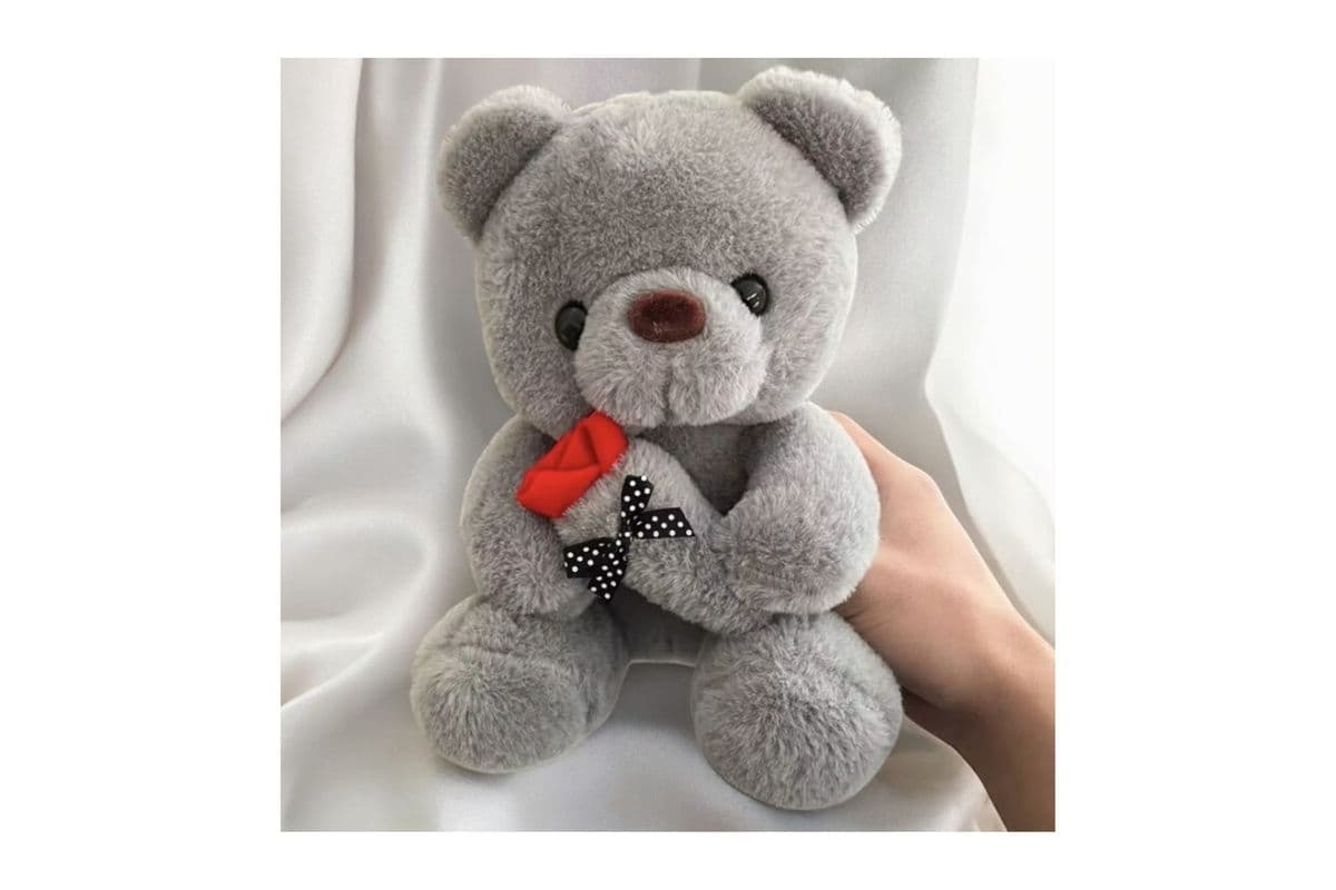 Soft Teddy Holding Soft Rose