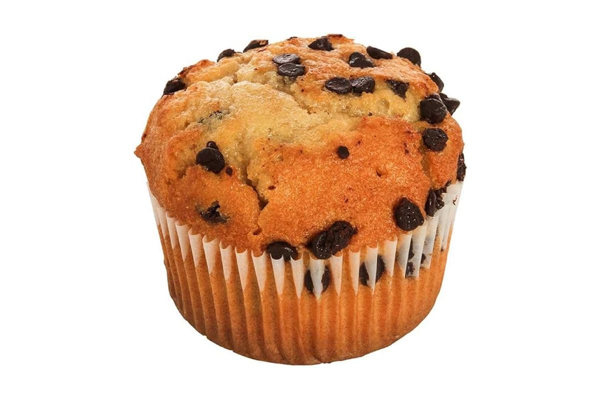 Double Chocolate Muffin