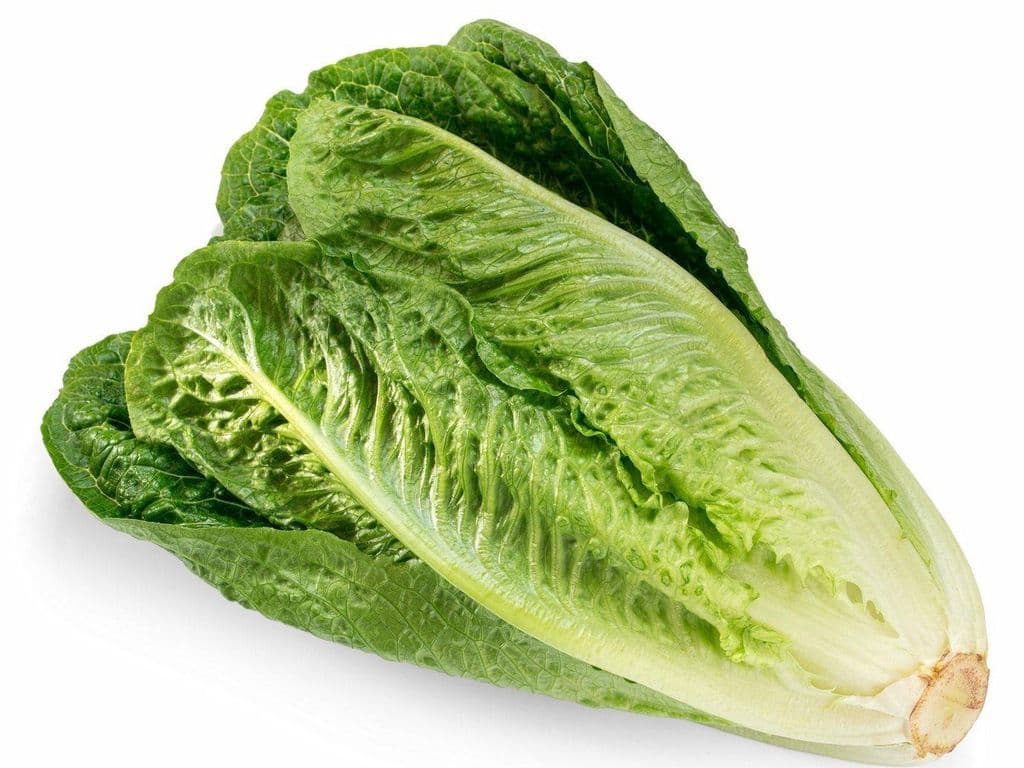 Lettuce Romaine (Each)