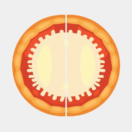 2x Large Half & Half Pizza Deal 2 Toppings (Vegan)