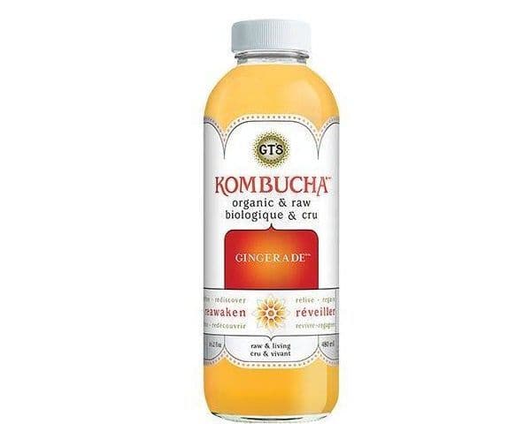 GT'S KOMBUCHA GINGERADE 480ML