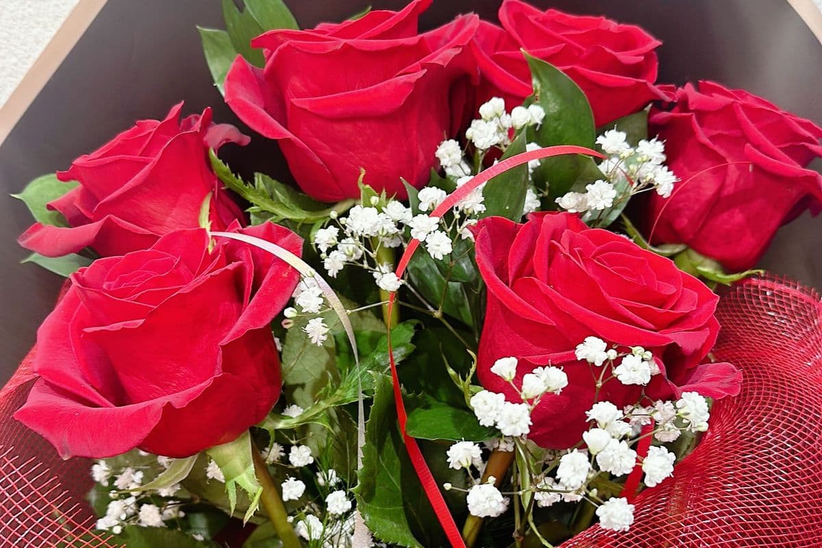 Elegance - 6 Roses Bouquet