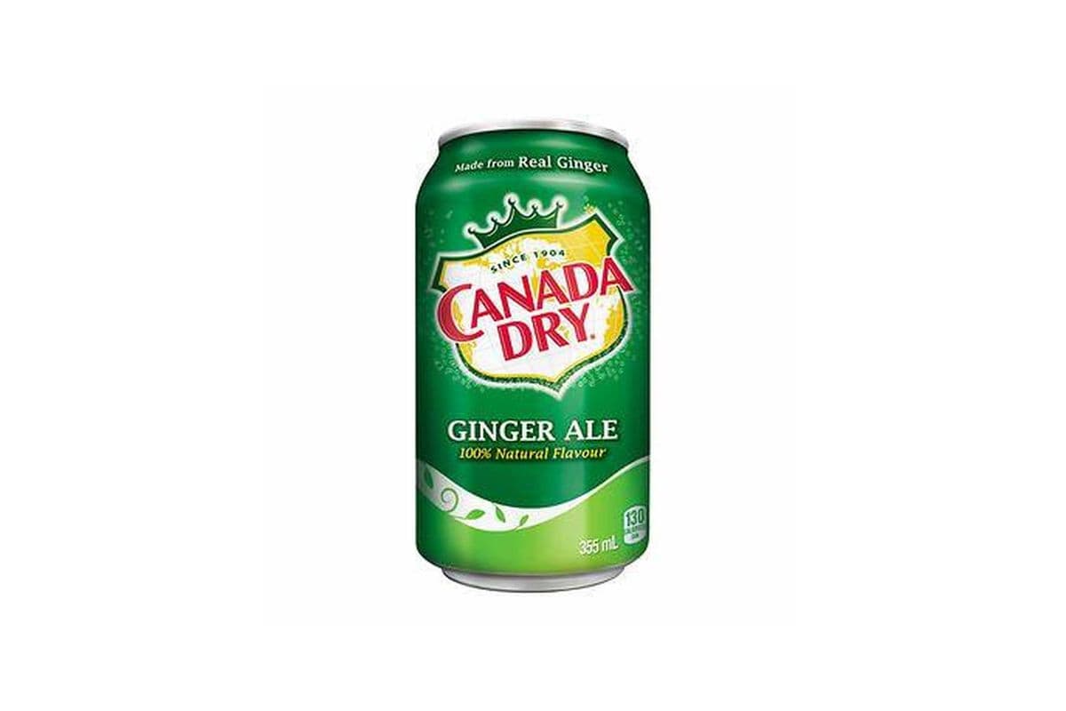 Ginger Ale (355ml Can)