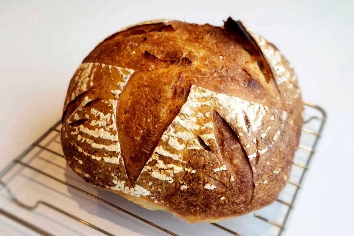 Sourdough