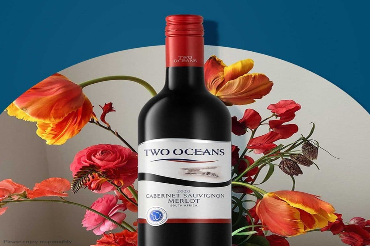 TWO OCEAN CAB MERLOT (1 x 750 ML)