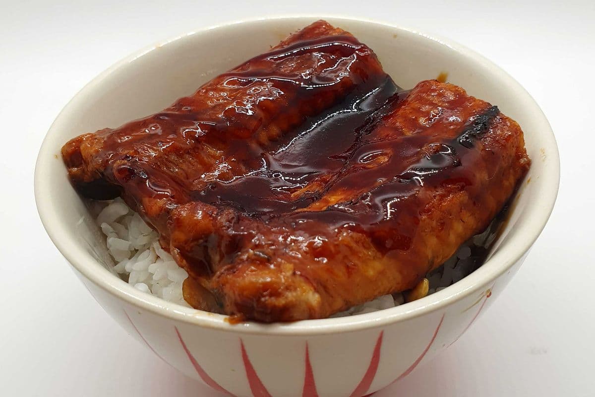 Mini Unagi Don