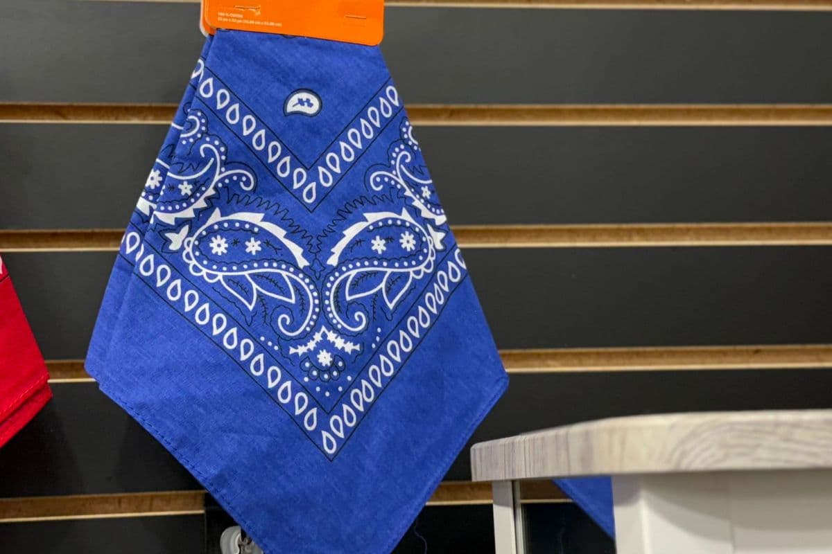 Bandana Blue (1pk)